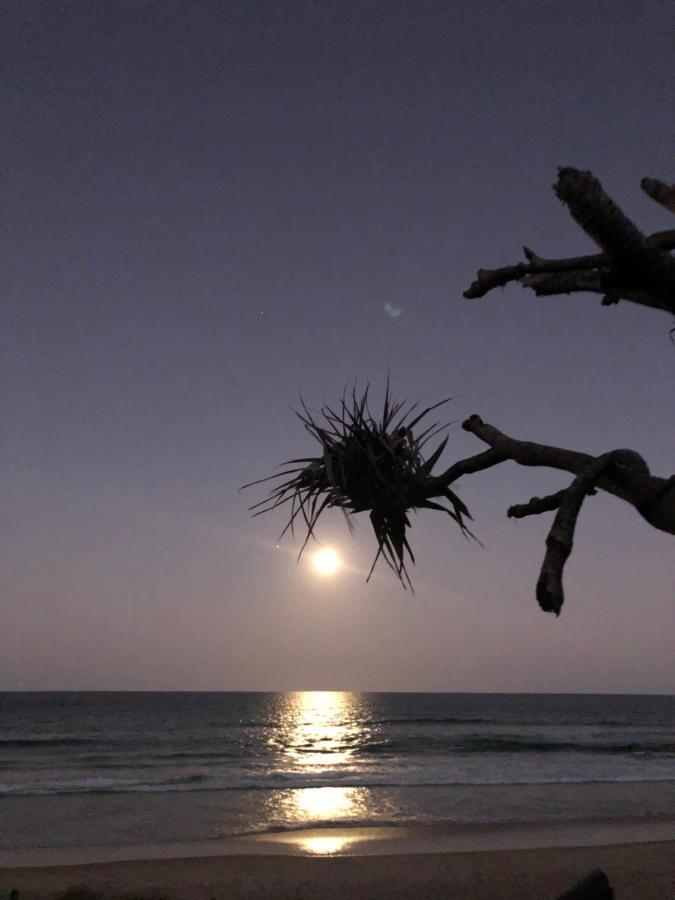 Horizons At Peregian Peregian Beach Exterior foto